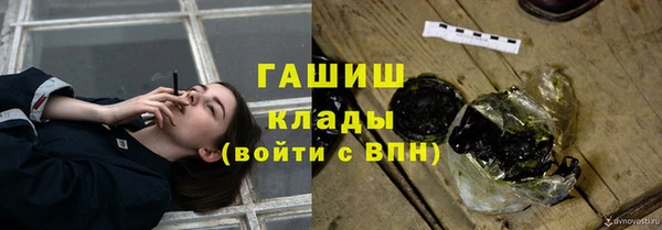 шишки Абаза