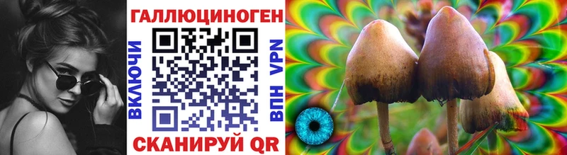 Псилоцибиновые грибы Psilocybine cubensis Тихвин